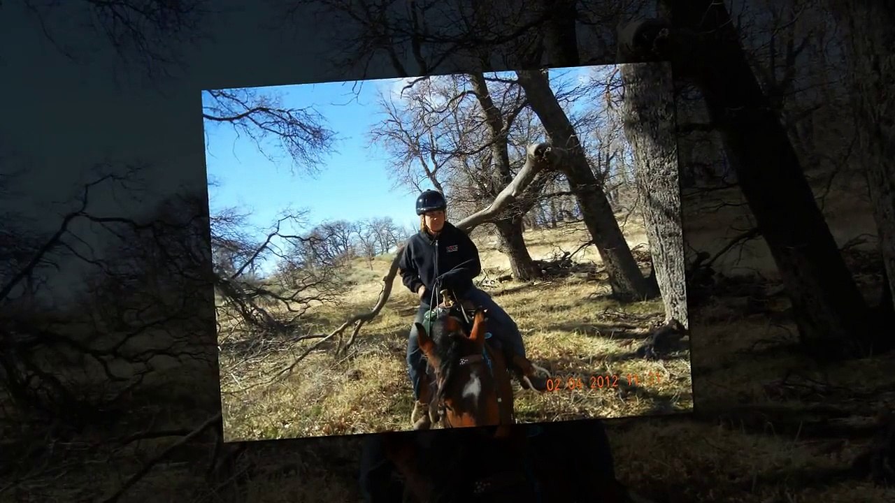 Sandberg Inn to 7N23/Pine Canyon Road - Angeles National Forest