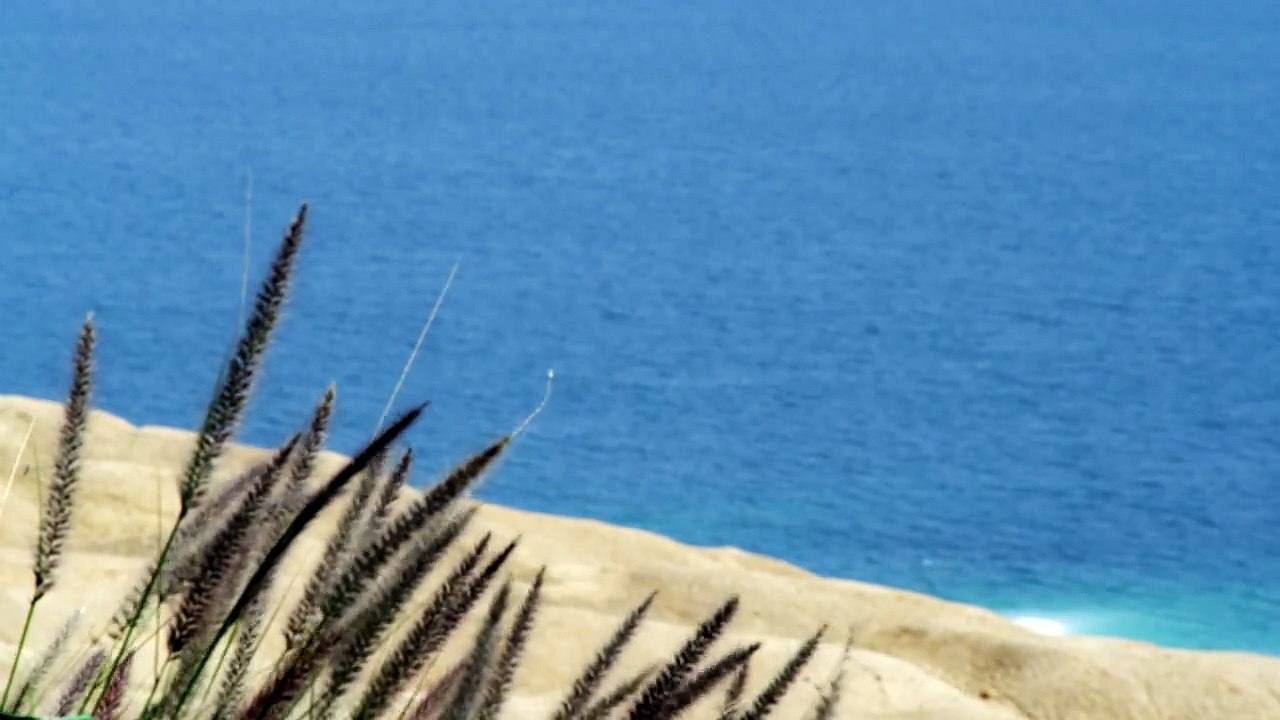 Serene Beach 4