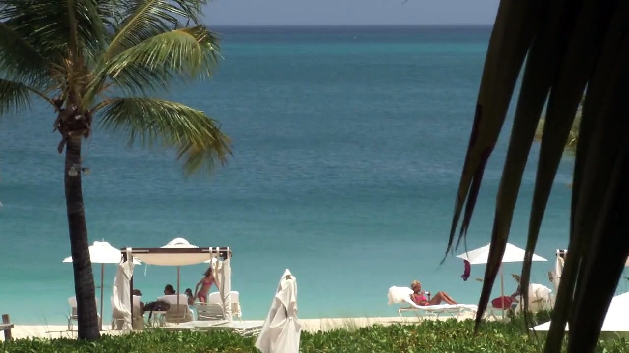 Serene Beach 7