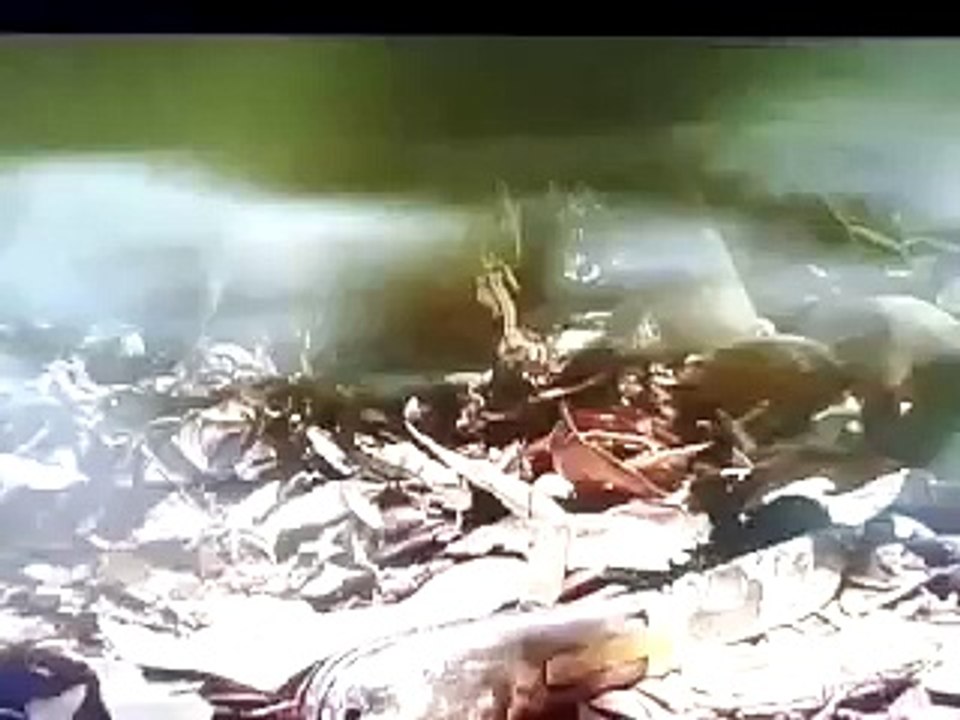 homem aparece em cena da novela O REI DO GADO