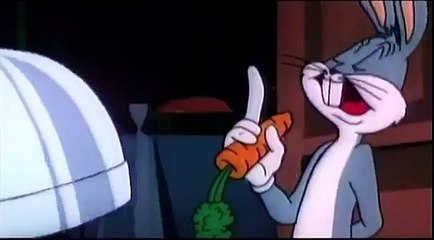 Boomerang Pet of the Week: Bumper #2