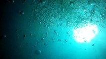 GoPro Diving Wrecks In Morehead City.