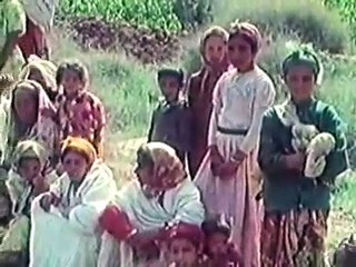 Citroën SM Rallye du Maroq 1971