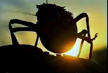 The Hellstrom Chronicle - Part 11 (Final)