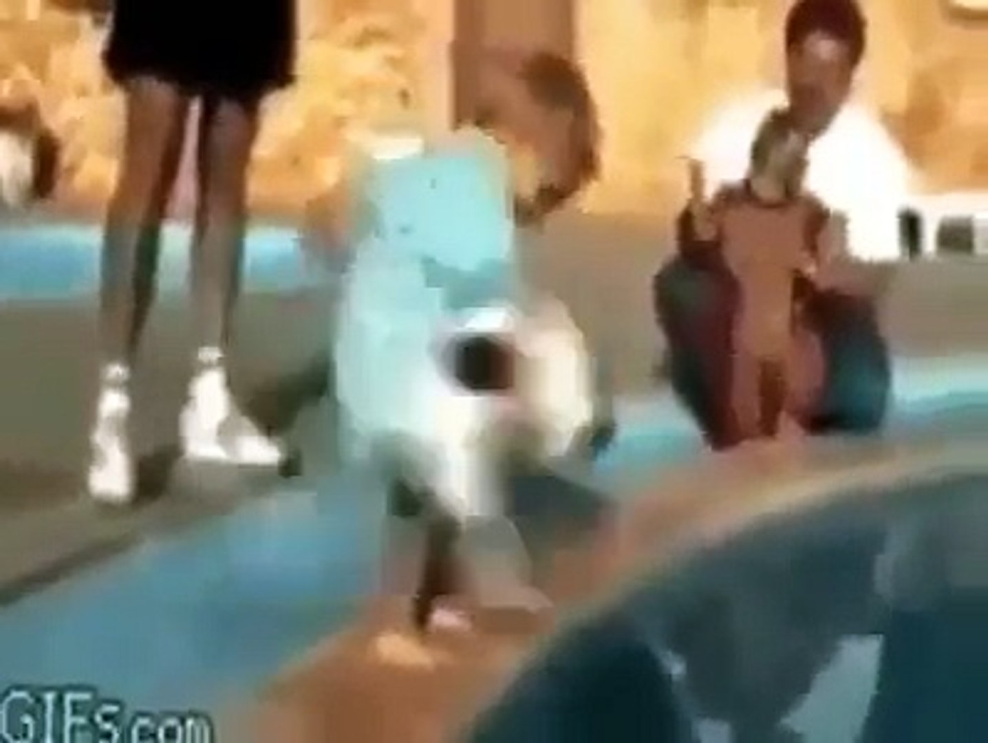 Loving Animals Cute Animals 2015