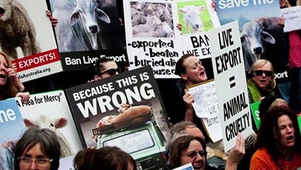 The next great social justice movement