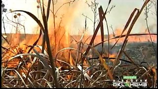 Tallgrass Prairie Preserve in Oklahoma