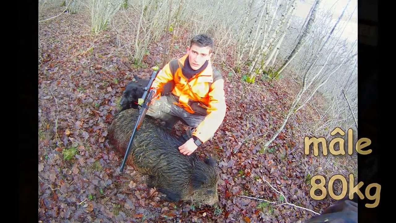 saison chasse 2012-2013