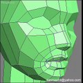 3D Head Modeling From Box