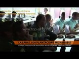 Lazarati, GDF publikon pamjet - Top Channel Albania - News - Lajme
