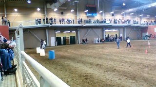 PA Horse Expo 2015 Trail Challenge Non Pro 1st Mule ever to compete