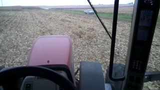 Running a grain cart in corn with Google Glass 3