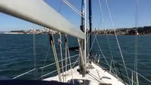 Whale Watching While Sailing On San Francisco Bay