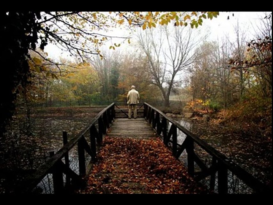 Naciye Asabı-Vicdansız