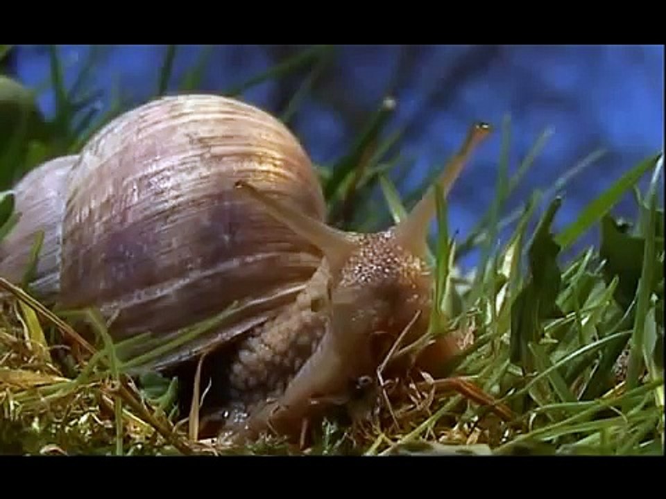 Kirándulj, ne motorozz!