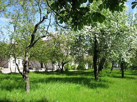 лиепая школа 14 малое здание младших класов