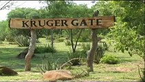 Kruger Gate - South Africa Travel Channel 24