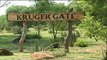 Kruger Gate - South Africa Travel Channel 24
