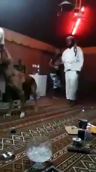 کتے سے لڑنے کا بہت شوق تھا اسے.