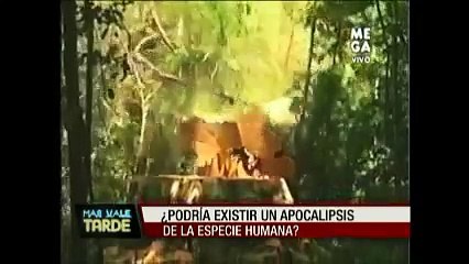 LA SEXTA EXTINCIÓN DE VIDA EN MASA