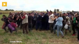 WATCH: Hungarian video journalist trips refugees running from police