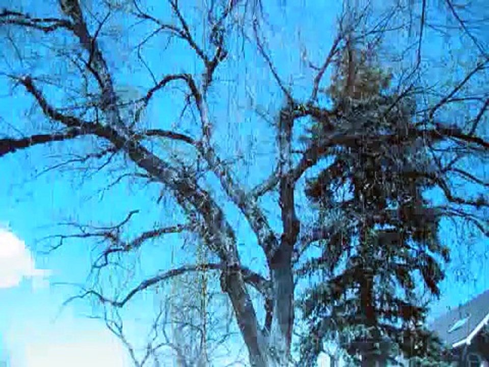 REXSY 2008 - Beethoven's Moonlight Sonata