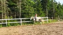 Kelly & Spring
