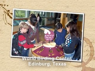 Edinburg Wetlands World Birding Center
