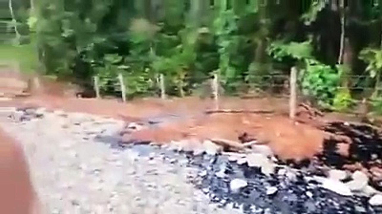Farc destruyendo el medio ambiente derramando petroleo en Putumayo
