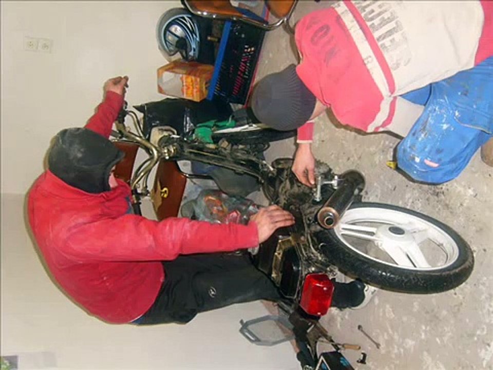 Wallaroo project 2011 Beerse