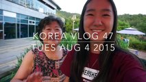 Roadtrip Ft. Korean Reststops | KOREA VLOG 47