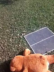 This shit a gag I was locked in my damn room!