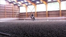 Reprise de Dressage Galop 4