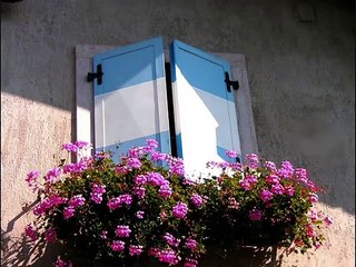 Andreas Fulterer - Donna Blue