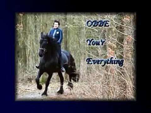 Mijn eerste bosrit met mijn Friese Paard OBBE