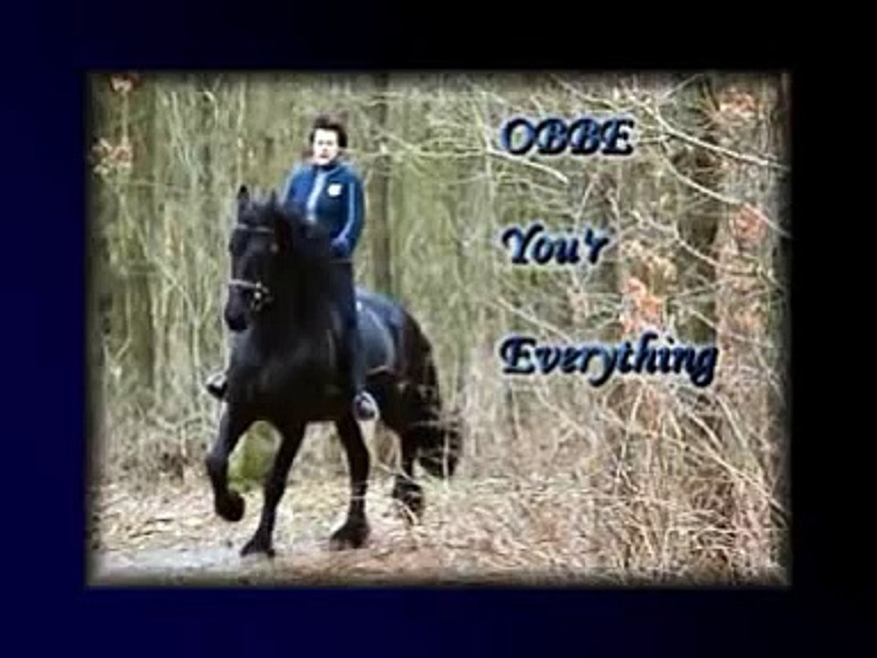 Mijn eerste bosrit met mijn Friese Paard OBBE