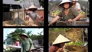 Vietnam 2006: Delta del Mekong