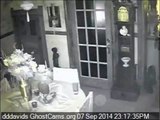 Night Visitors Spirits Ghost and Orbs