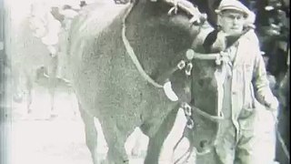 The Royal Norfolk Show in the 1950s