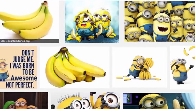 Search Engines: Keyword Search & Boolean Search