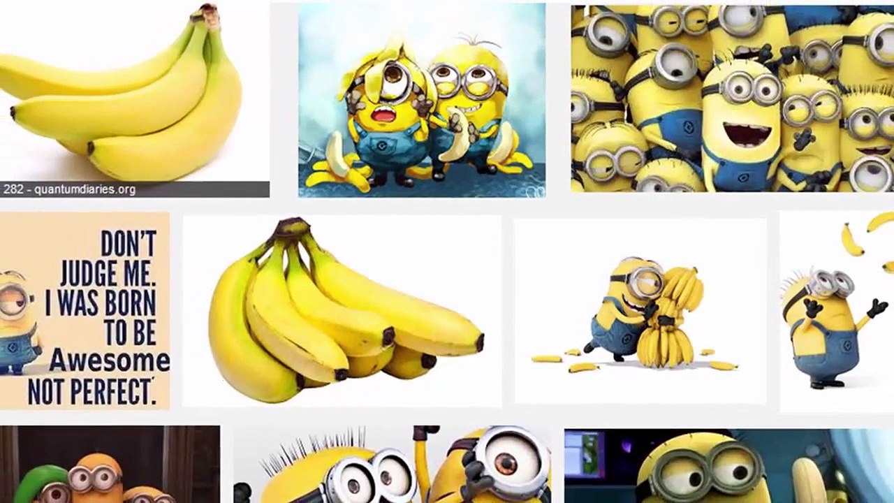 Search Engines: Keyword Search & Boolean Search