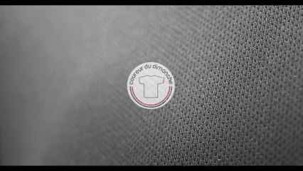 Présentation Tee-shirt Classique Homme