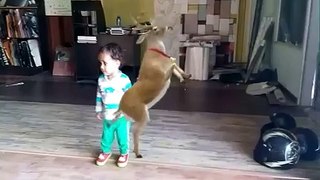 Amazing Dancing Kid funny video