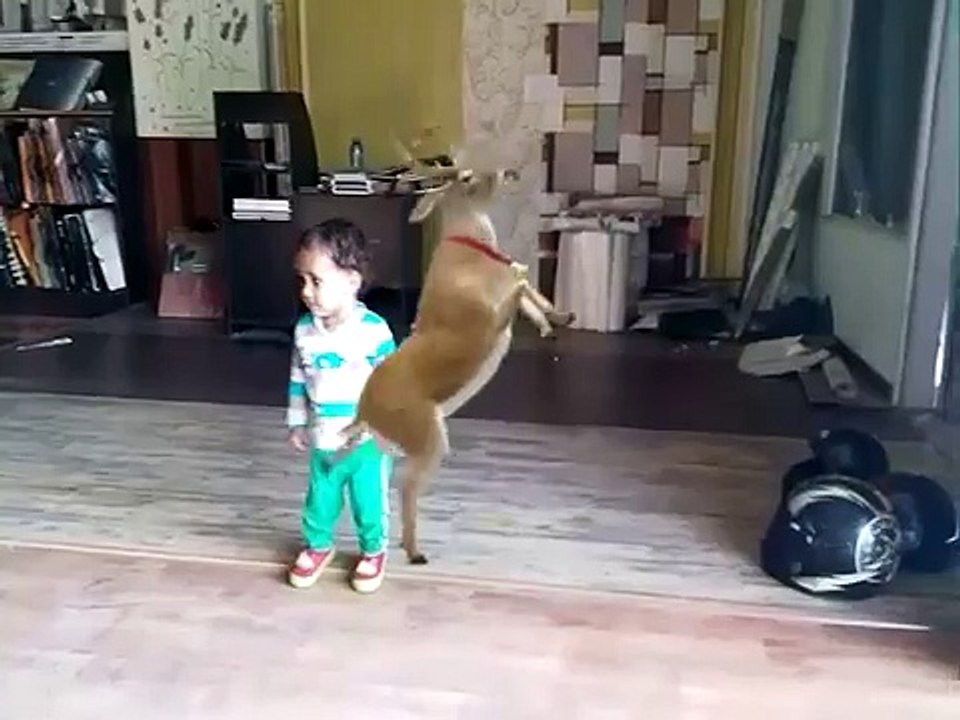 Amazing Dancing Kid funny video