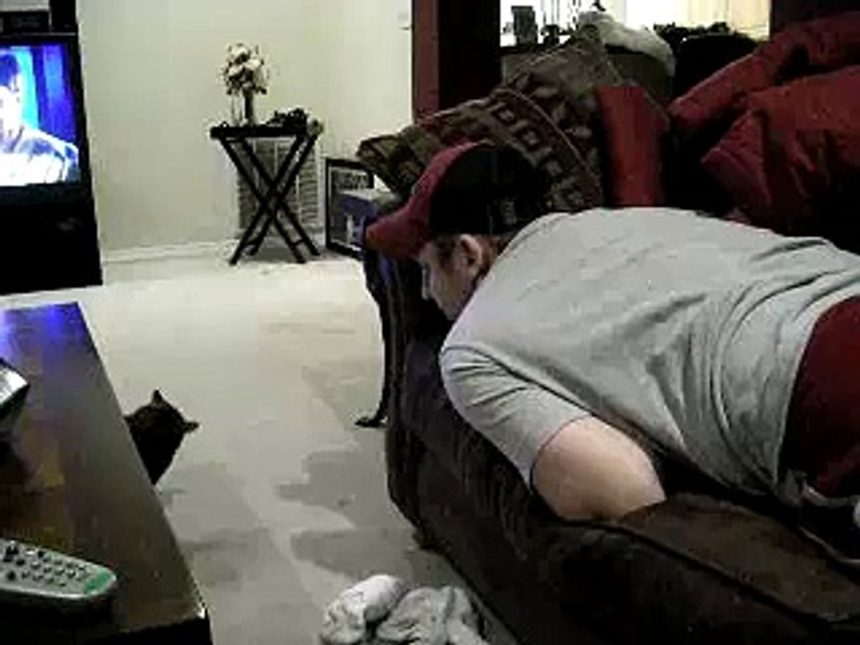 Cat attacks me for whistling!