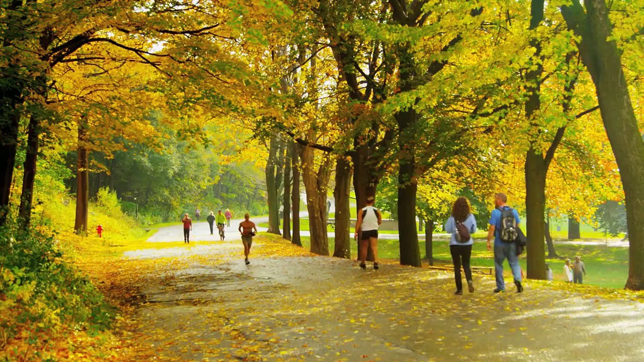 Park 2