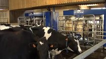 Grâce au robot de traite VMS DeLaval, l'éleveur connaît mieux ses vaches !