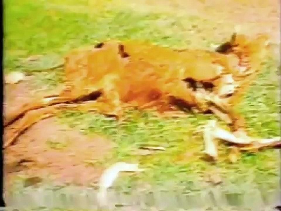 JN: 28/01/1986 (Edição na Íntegra)