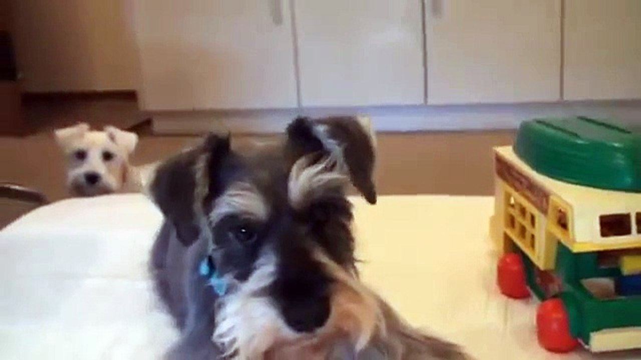 Mumu & Oser snack time!