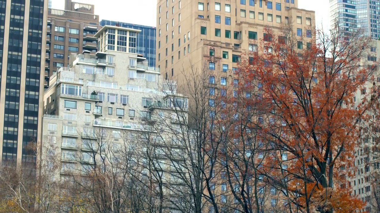 Park 7